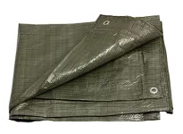 PE plachta zakrývacia 2x2m 70g/1m2 zelená